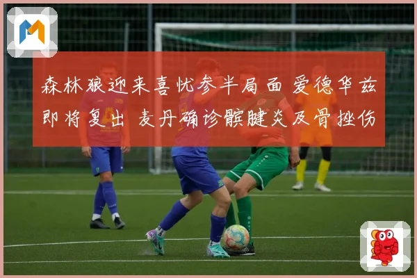 森林狼迎来喜忧参半局面 爱德华兹即将复出 麦丹确诊髌腱炎及骨挫伤
