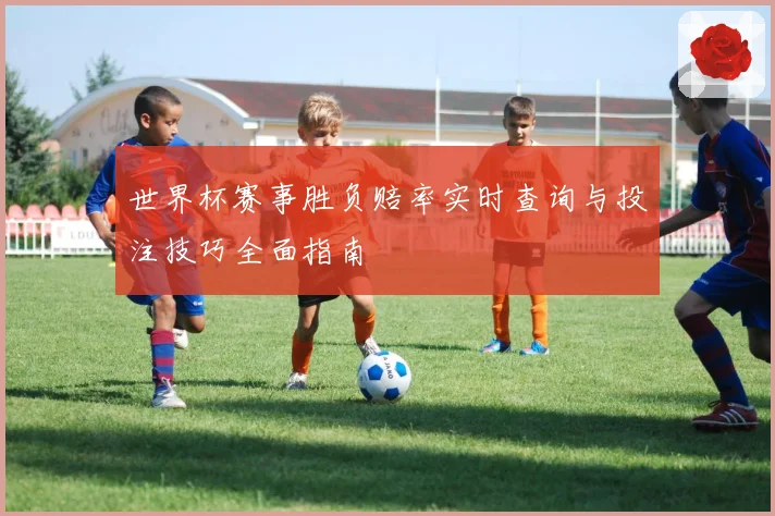 世界杯赛事胜负赔率实时查询与投注技巧全面指南