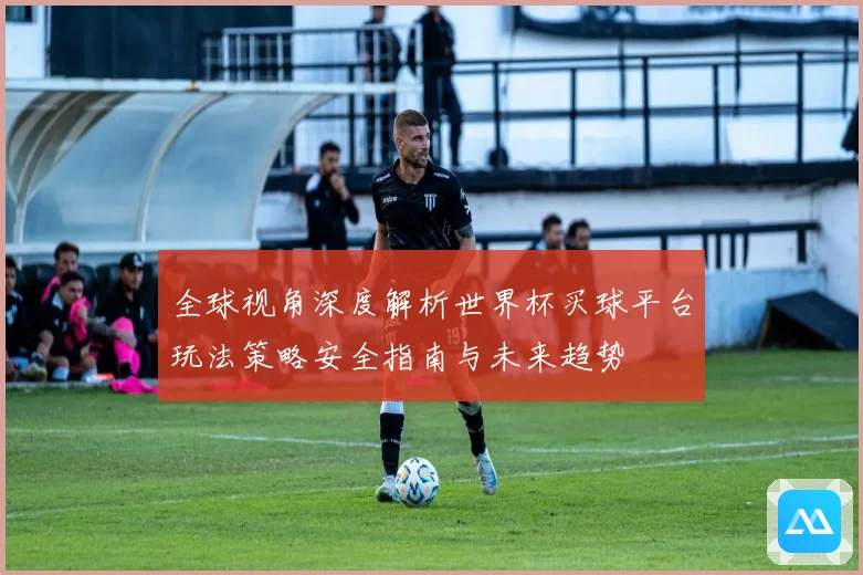 全球视角深度解析世界杯买球平台玩法策略安全指南与未来趋势
