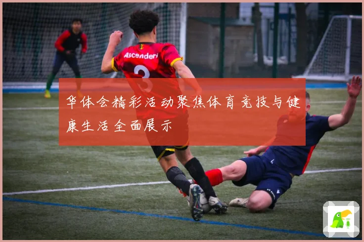 华体会精彩活动聚焦体育竞技与健康生活全面展示