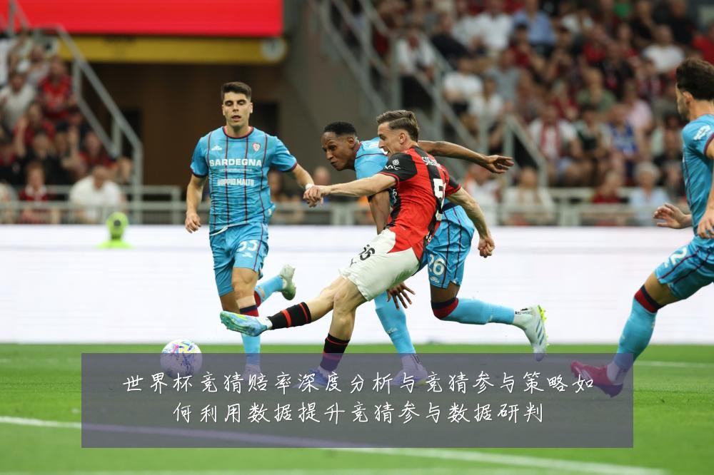 世界杯竞猜赔率深度分析与竞猜参与策略如何利用数据提升竞猜参与数据研判